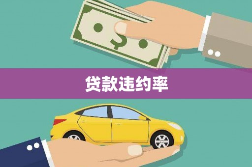 沙依巴克贷款违约率
