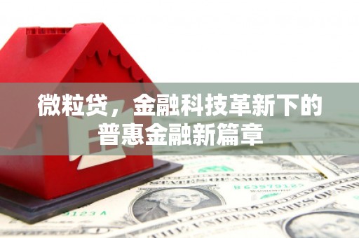 沙依巴克微粒贷，金融科技革新下的普惠金融新篇章