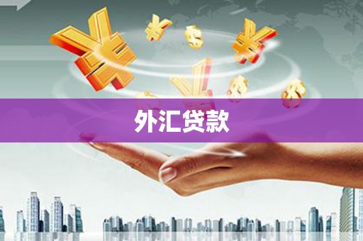 沙依巴克外汇贷款