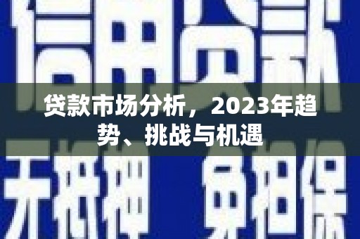 沙依巴克贷款市场分析，2023年趋势、挑战与机遇
