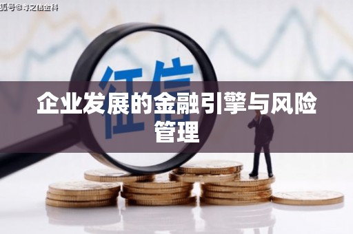 沙依巴克企业发展的金融引擎与风险管理