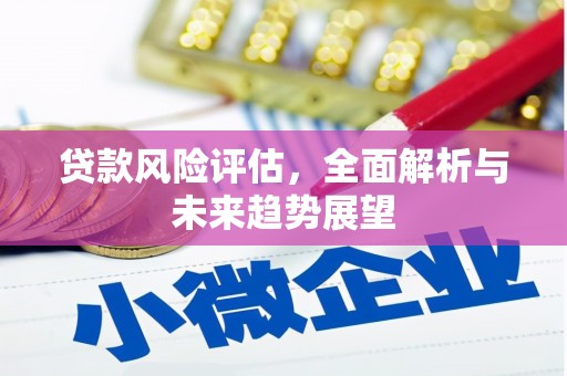 沙依巴克贷款风险评估，全面解析与未来趋势展望