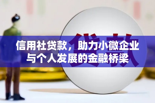 沙依巴克信用社贷款，助力小微企业与个人发展的金融桥梁