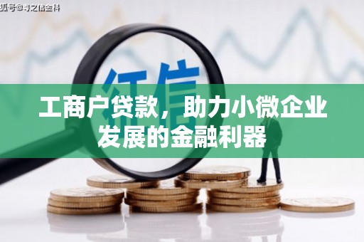 沙依巴克工商户贷款，助力小微企业发展的金融利器