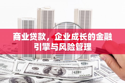 沙依巴克商业贷款，企业成长的金融引擎与风险管理