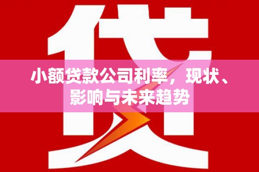 沙依巴克小额贷款公司利率，现状、影响与未来趋势