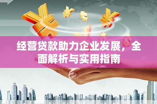 沙依巴克经营贷款助力企业发展，全面解析与实用指南