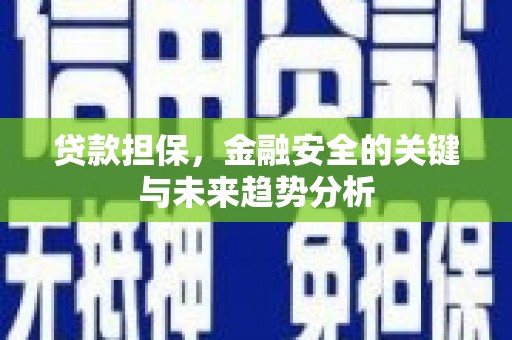 沙依巴克贷款担保，金融安全的关键与未来趋势分析