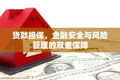 沙依巴克贷款担保，金融安全与风险管理的双重保障