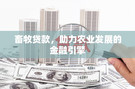 沙依巴克畜牧贷款，助力农业发展的金融引擎