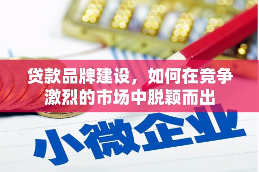 沙依巴克贷款品牌建设，如何在竞争激烈的市场中脱颖而出