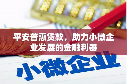 沙依巴克平安普惠贷款，助力小微企业发展的金融利器