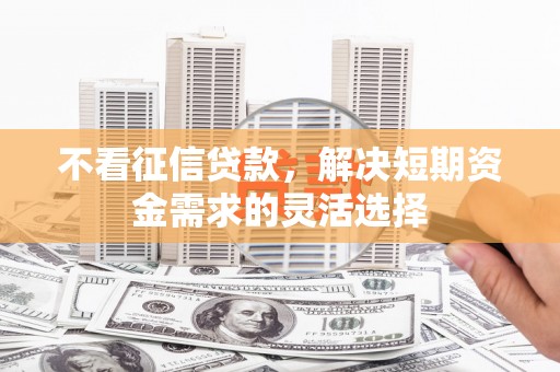 沙依巴克不看征信贷款，解决短期资金需求的灵活选择