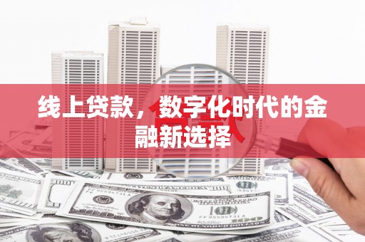 沙依巴克线上贷款，数字化时代的金融新选择
