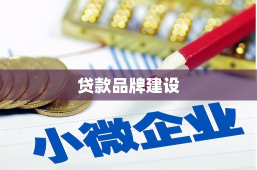 沙依巴克贷款品牌建设