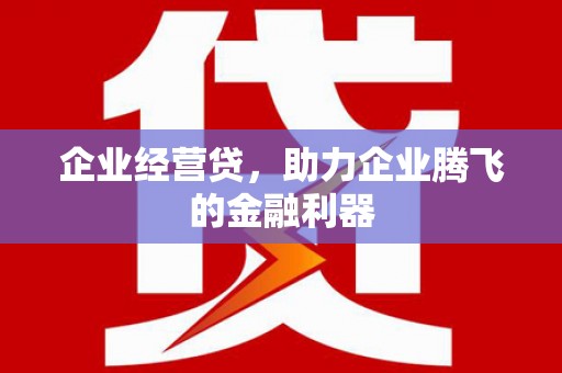 沙依巴克企业经营贷，助力企业腾飞的金融利器