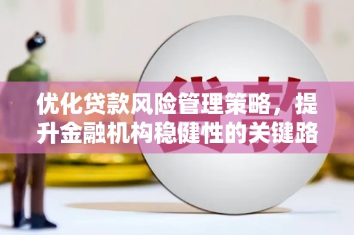 沙依巴克优化贷款风险管理策略，提升金融机构稳健性的关键路径