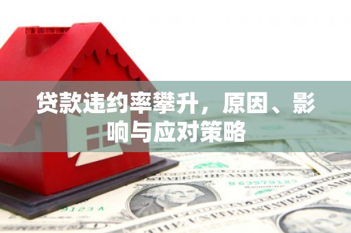 沙依巴克贷款违约率攀升，原因、影响与应对策略