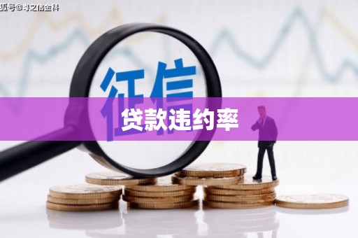 沙依巴克贷款违约率