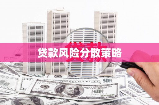 沙依巴克贷款风险分散策略