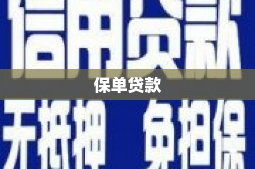 沙依巴克保单贷款