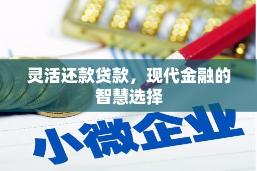 沙依巴克灵活还款贷款，现代金融的智慧选择