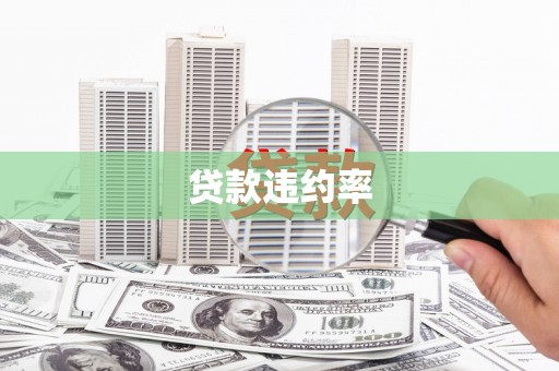 沙依巴克贷款违约率