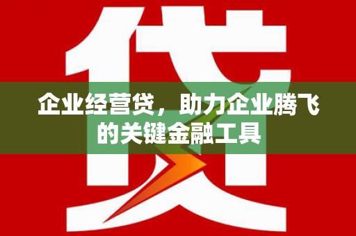 沙依巴克企业经营贷，助力企业腾飞的关键金融工具