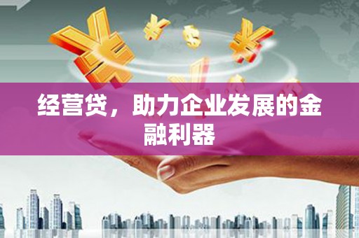 沙依巴克经营贷，助力企业发展的金融利器