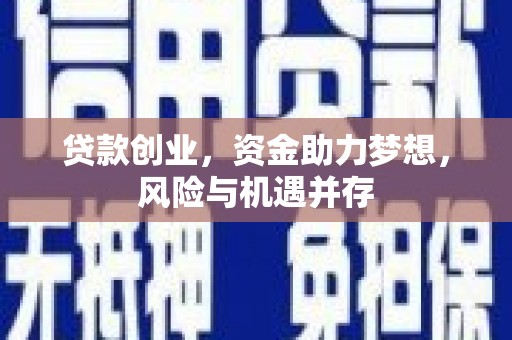 沙依巴克贷款创业，资金助力梦想，风险与机遇并存