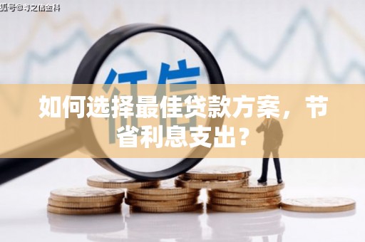 沙依巴克如何选择最佳贷款方案，节省利息支出？
