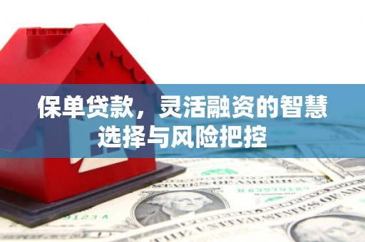 沙依巴克保单贷款，灵活融资的智慧选择与风险把控