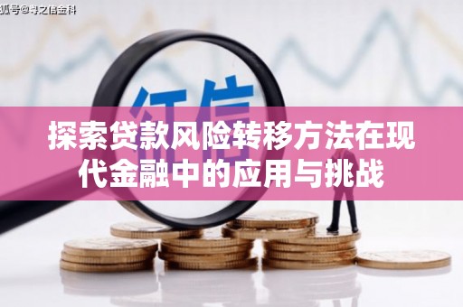 沙依巴克探索贷款风险转移方法在现代金融中的应用与挑战
