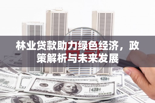 沙依巴克林业贷款助力绿色经济，政策解析与未来发展