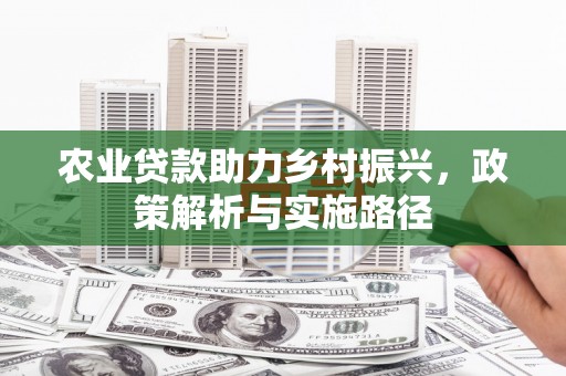 沙依巴克农业贷款助力乡村振兴，政策解析与实施路径