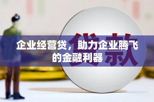 沙依巴克企业经营贷，助力企业腾飞的金融利器