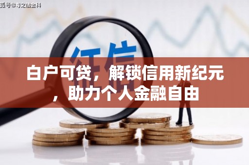 沙依巴克白户可贷，解锁信用新纪元，助力个人金融自由