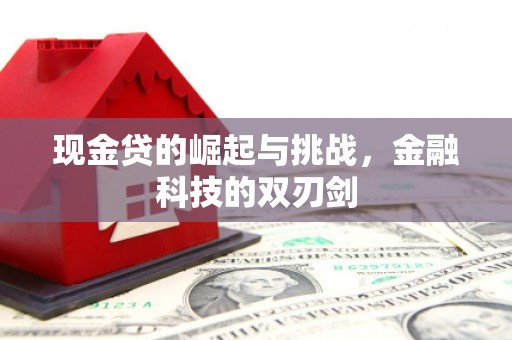 沙依巴克现金贷的崛起与挑战，金融科技的双刃剑