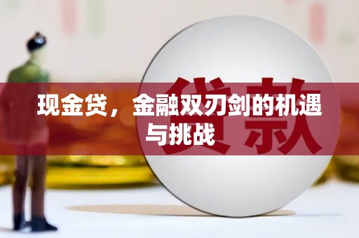 沙依巴克现金贷，金融双刃剑的机遇与挑战