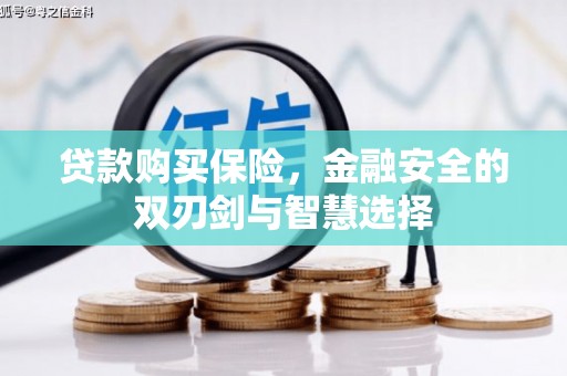 沙依巴克贷款购买保险，金融安全的双刃剑与智慧选择