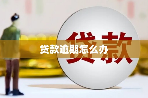 沙依巴克贷款逾期怎么办