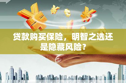 沙依巴克贷款购买保险，明智之选还是隐藏风险？