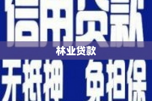 沙依巴克林业贷款