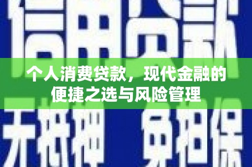沙依巴克个人消费贷款，现代金融的便捷之选与风险管理