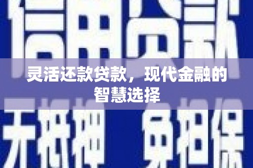 沙依巴克灵活还款贷款，现代金融的智慧选择