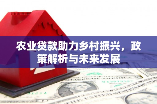 沙依巴克农业贷款助力乡村振兴，政策解析与未来发展