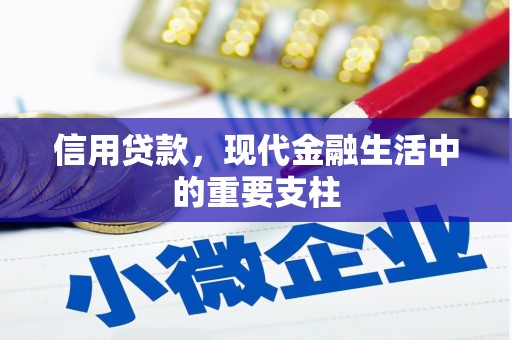 沙依巴克信用贷款，现代金融生活中的重要支柱