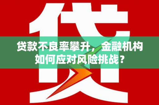 沙依巴克贷款不良率攀升，金融机构如何应对风险挑战？