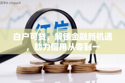 沙依巴克白户可贷，解锁金融新机遇，助力信用从零到一