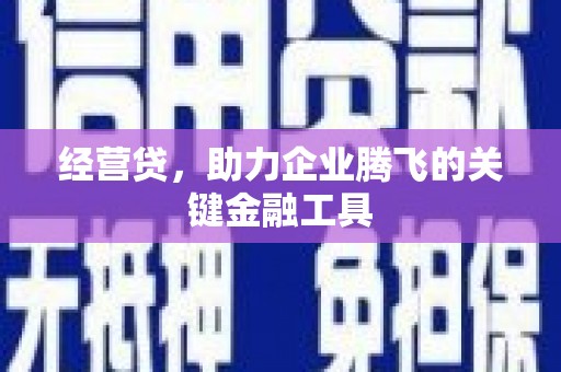 沙依巴克经营贷，助力企业腾飞的关键金融工具